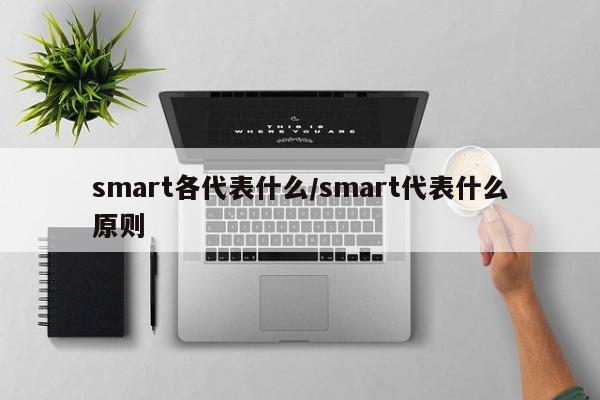 smart各代表什么/smart代表什么原则