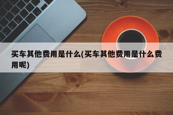 买车其他费用是什么(买车其他费用是什么费用呢)