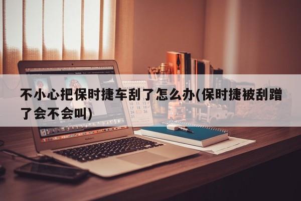 不小心把保时捷车刮了怎么办(保时捷被刮蹭了会不会叫)