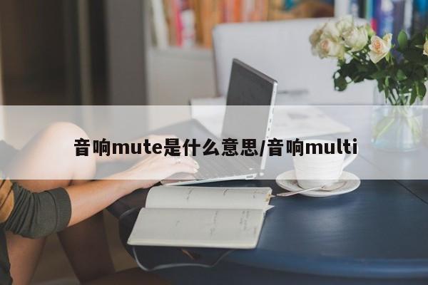 音响mute是什么意思/音响multi