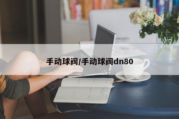 手动球阀/手动球阀dn80