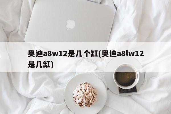 奥迪a8w12是几个缸(奥迪a8lw12是几缸)