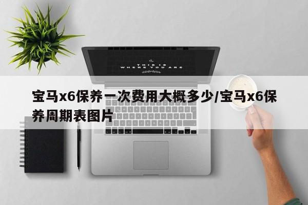 宝马x6保养一次费用大概多少/宝马x6保养周期表图片